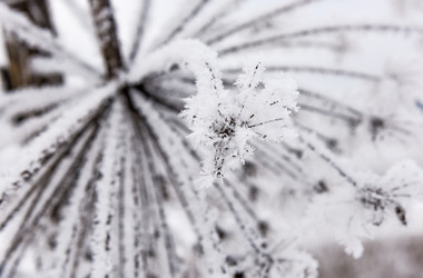 Similar image 18136955