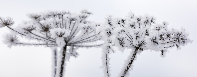 Similar image 18136956