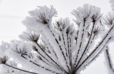 Similar image 18136957