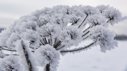 Similar image 18136958