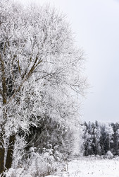 Similar image 18136899