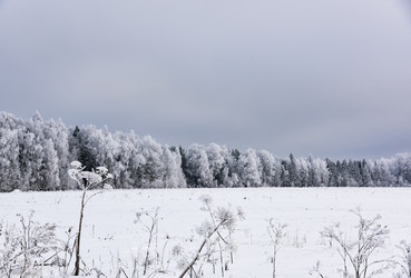 Similar image 18136902