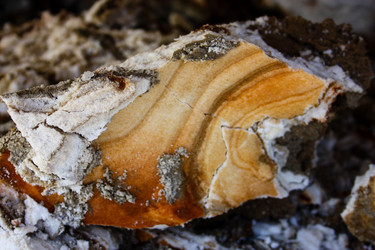 Similar image 17818317