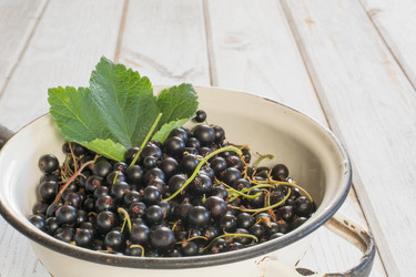 Similar image 17816118