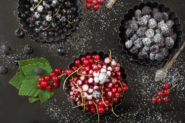 Similar image 17816168