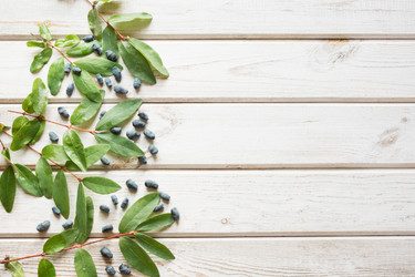 Similar image 17815976