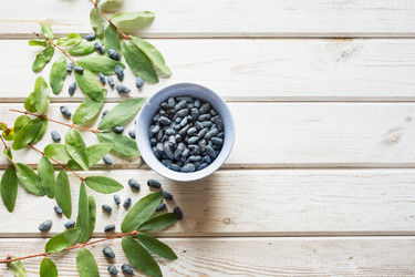 Similar image 17815978