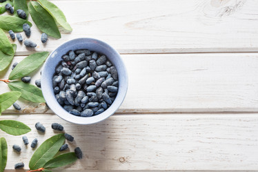 Similar image 17815998