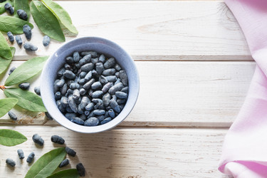 Similar image 17815999