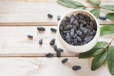 Similar image 17816000