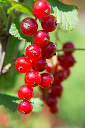 Similar image 17816022