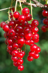 Similar image 17816023