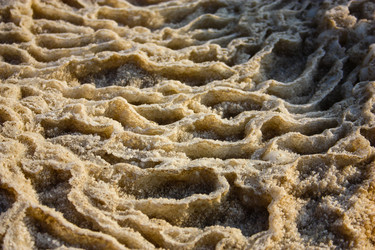 Similar image 17818336