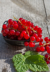 Similar image 17816076