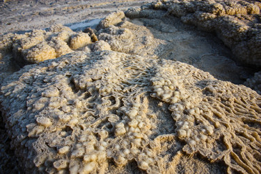 Similar image 17818327