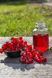 Similar image 17816079