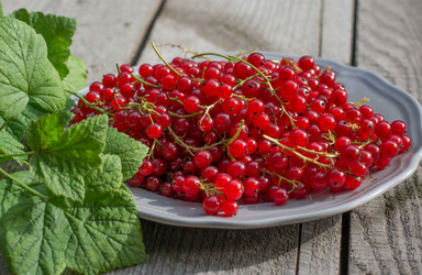 Similar image 17816051