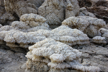 Similar image 17818309