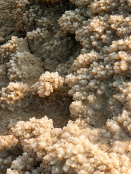 Similar image 17818333