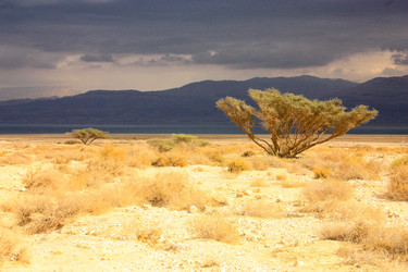 Similar image 17818335