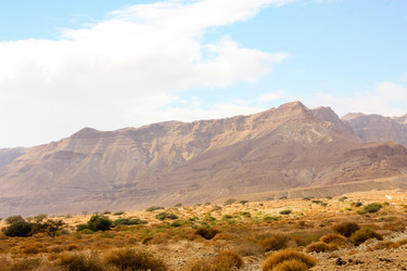 Similar image 17818338