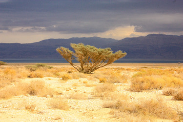 Similar image 17818341