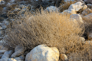 Similar image 17818348