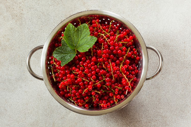 Similar image 17816033