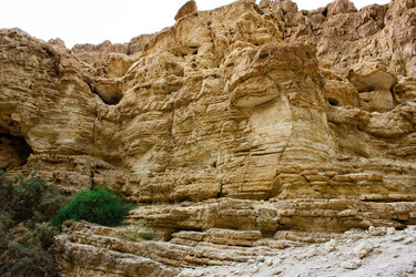 Similar image 17818355