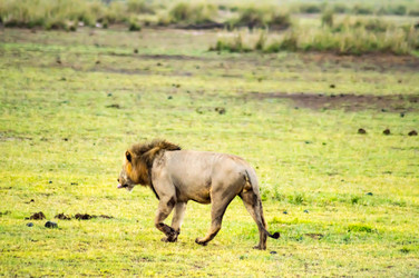 Similar image 18512278