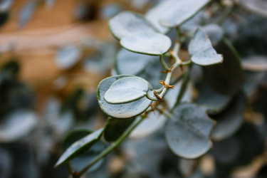 Similar image 17818373