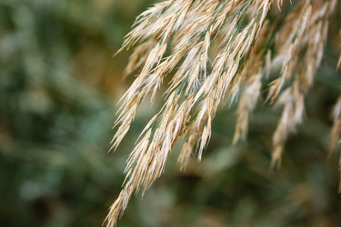 Similar image 17818378