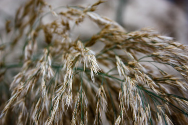 Similar image 17818379