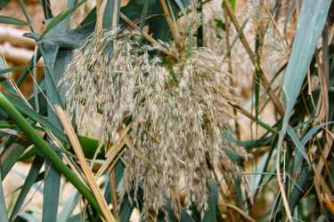 Similar image 17818371