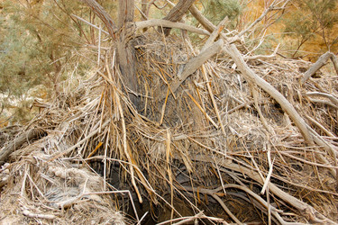 Similar image 17818375