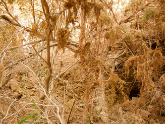 Similar image 17818353