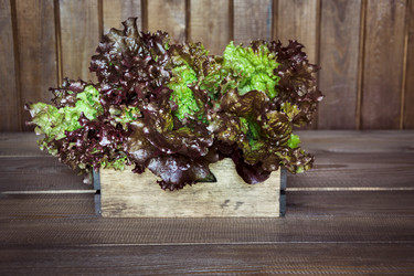 Similar image 17816003