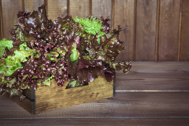 Similar image 17816004