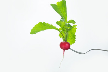 Similar image 17816016