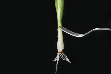 Similar image 17816030