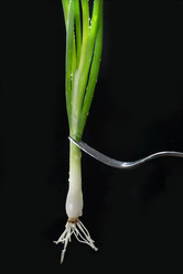 Similar image 17816037