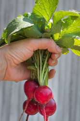 Similar image 17816042