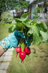 Similar image 17816043