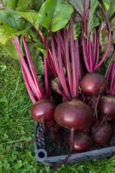 Similar image 17816095