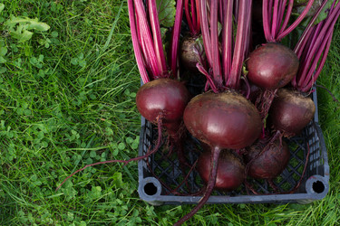 Similar image 17816121