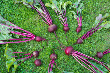 Similar image 17816130