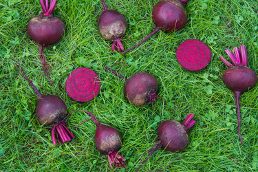 Similar image 17816137