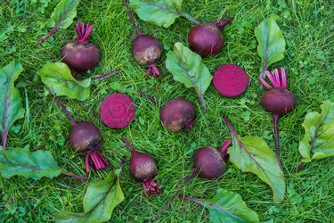 Similar image 17816144