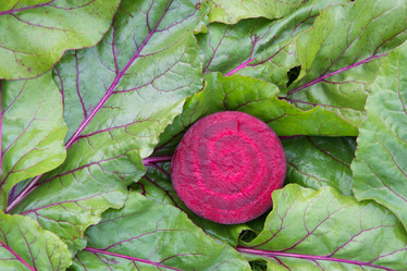 Similar image 17816146