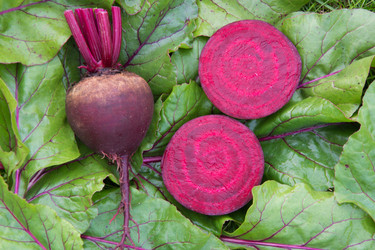 Similar image 17816057